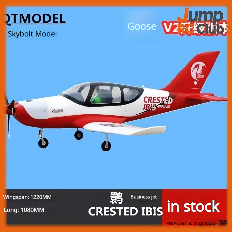 Rc Hobby Experts - QTモデルRCリモートコントロール飛行機 水陸両用 クレステッドアイビス ビジネスEPOフォーム固定翼 屋外飛行ホビー愛好家向け
