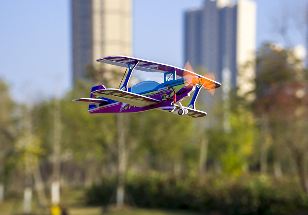 DW Hobby 450mm PITTS PP RC飛行機  - Rc Hobby Experts のレビューと価格
